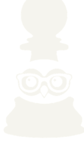 PawnVision